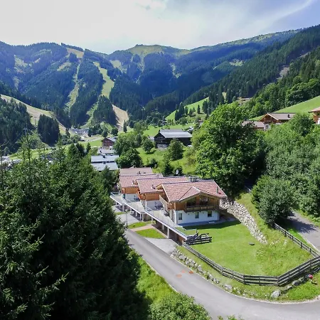 Seventeen Schmittental By In One